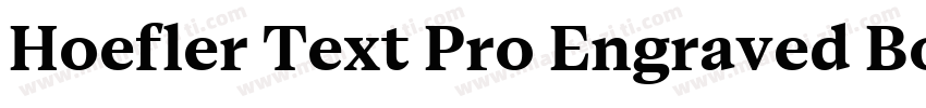 Hoefler Text Pro Engraved Bold字体转换